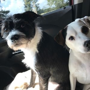 Meet your Posher, Edward